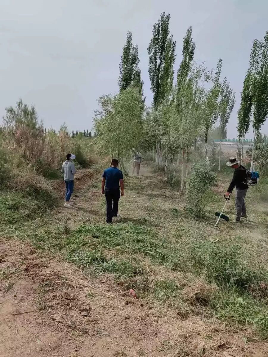 238ca987b135488582b1728d6b15d47b.png