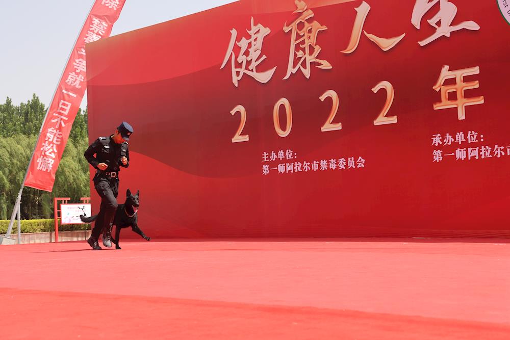 d082946abd3a487e80767431abf52d78.JPG