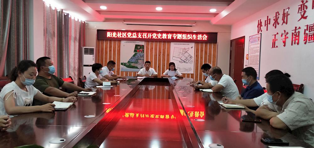 阳光社区党总支召开党史学习教育专题组织生活会