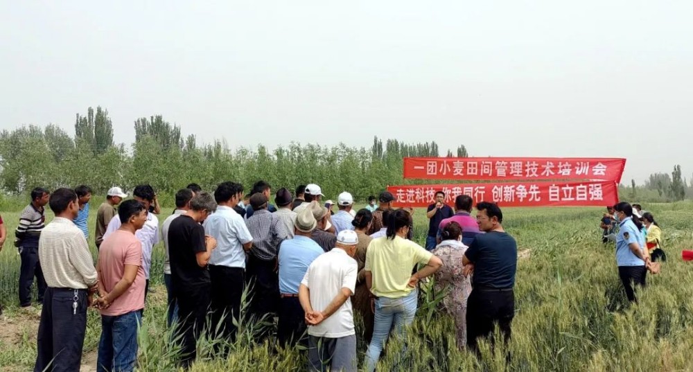 一团开展“走进科技 你我同行 创新争先 自立自强”为主题  科普宣传教育活动