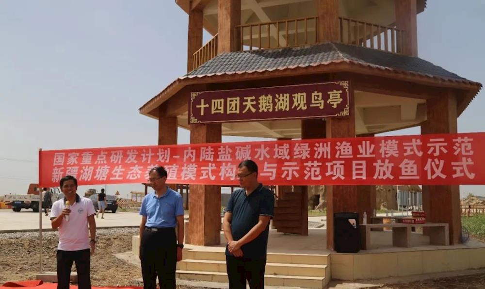 十四团：盐碱水里养鱼 致富与 修复生态两不误