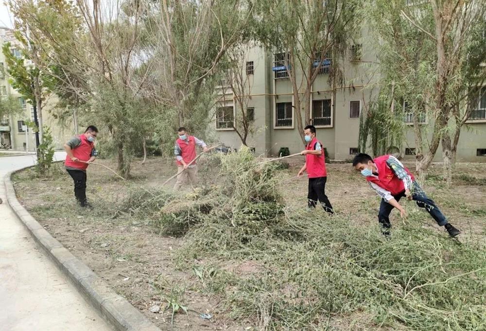 十四团阳光社区开展“清除杂草 美化环境”志愿服务活动