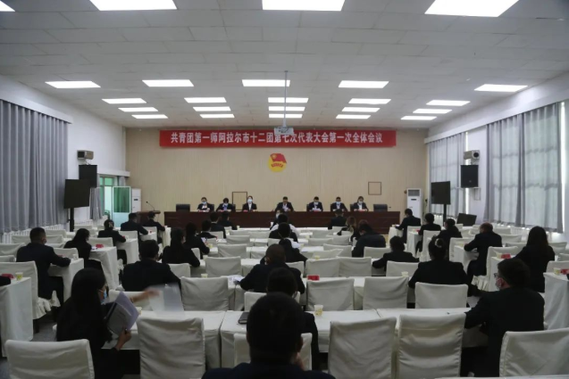 共青团第一师阿拉尔市十二团第七次代表大会胜利召开