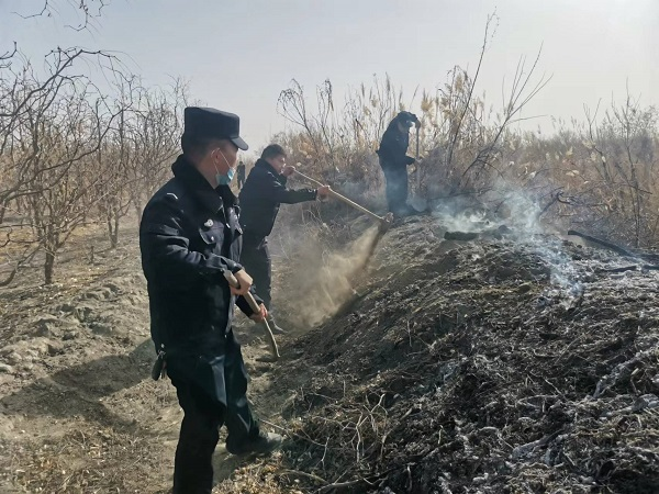 林带起火威胁群众安全 民辅警化身“救火卫士”
