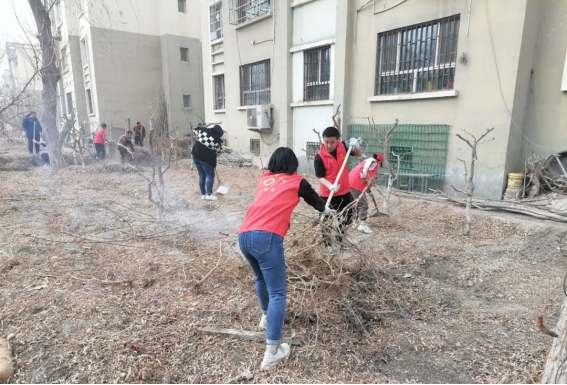 十四团阳光社区开展私搭乱建专项整治行动