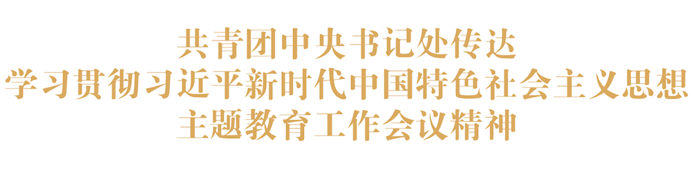 共青团中央书记处传达学习贯彻习近平新时代中国特色社会主义思想主题教育工作会议精神