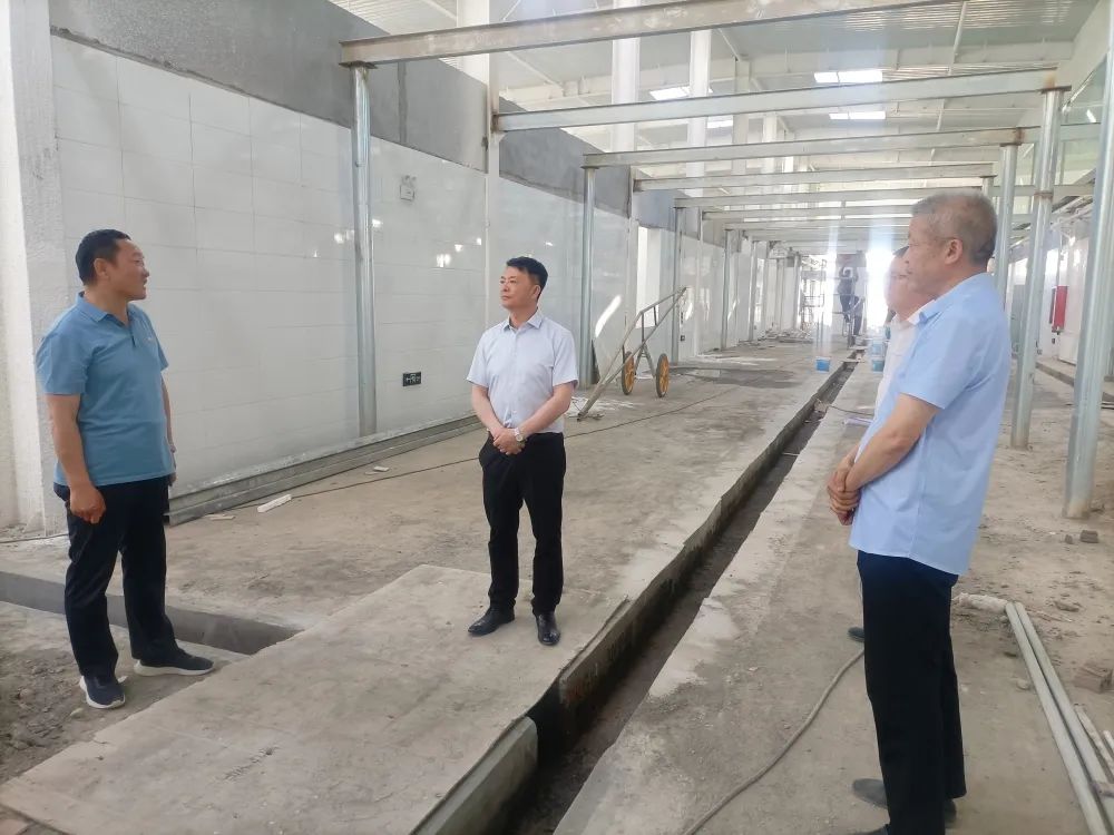 杨征宇调研生猪屠宰场项目工程建设推进情况
