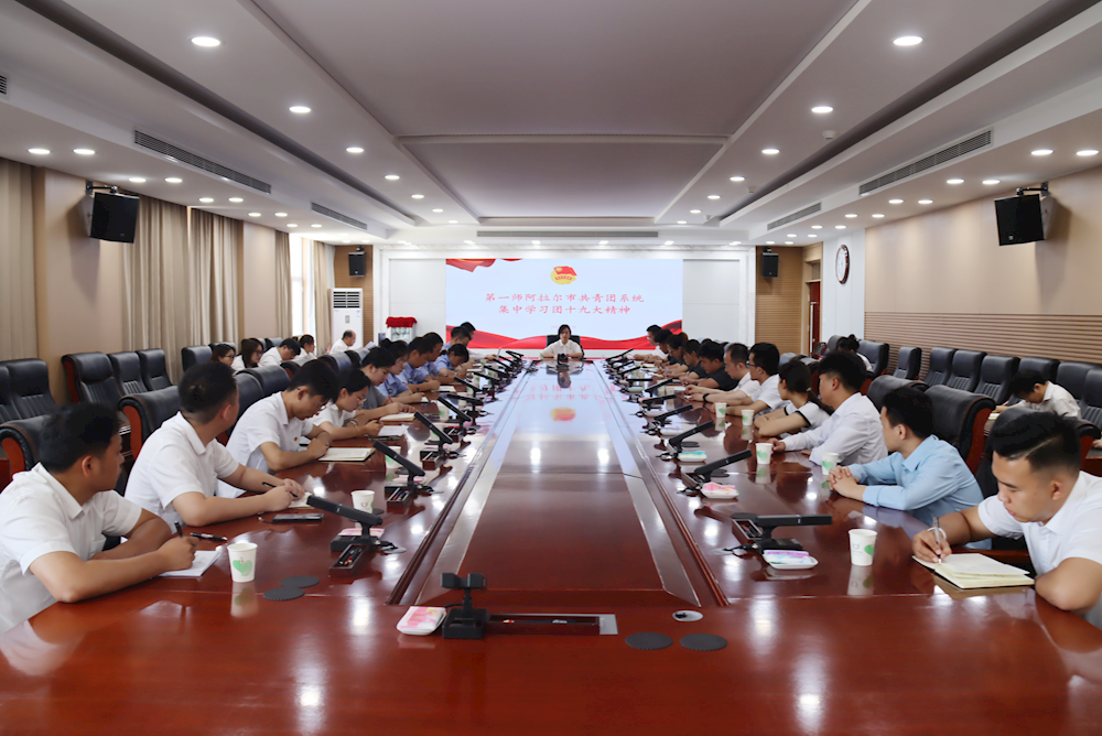 师市共青团系统召开共青团十九大精神专题学习会