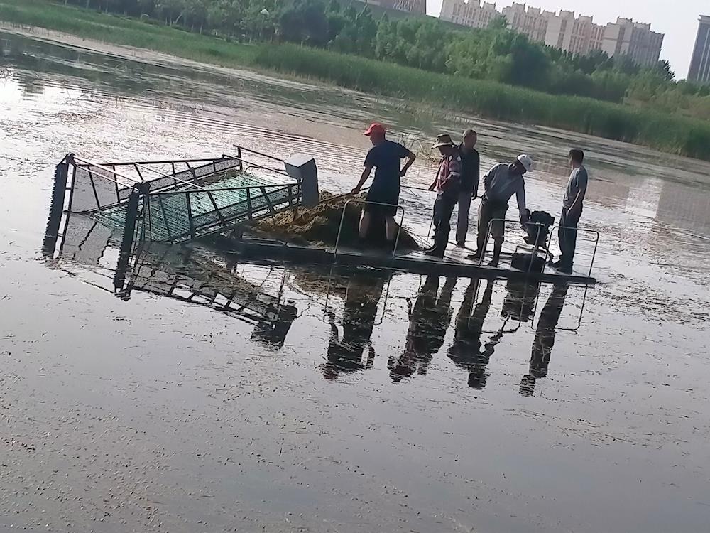 打捞清理水草 提升湖面“美颜”
