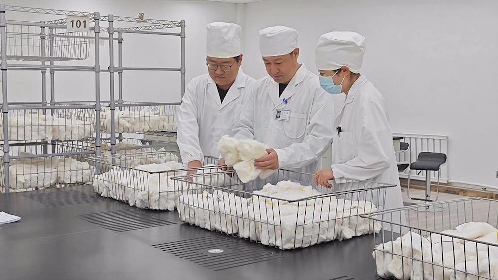 ​2023年度兵团第一师阿拉尔市棉花公证检验工作正式启动