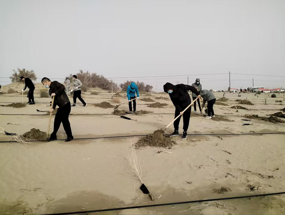 我为群众办实事：师市市场监管局公益植树填新绿