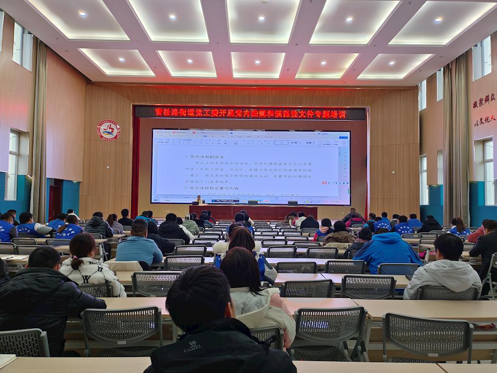 学法规明职责 切实增强党内法规执行力——青松路街道党工委开展党内法规专题培训