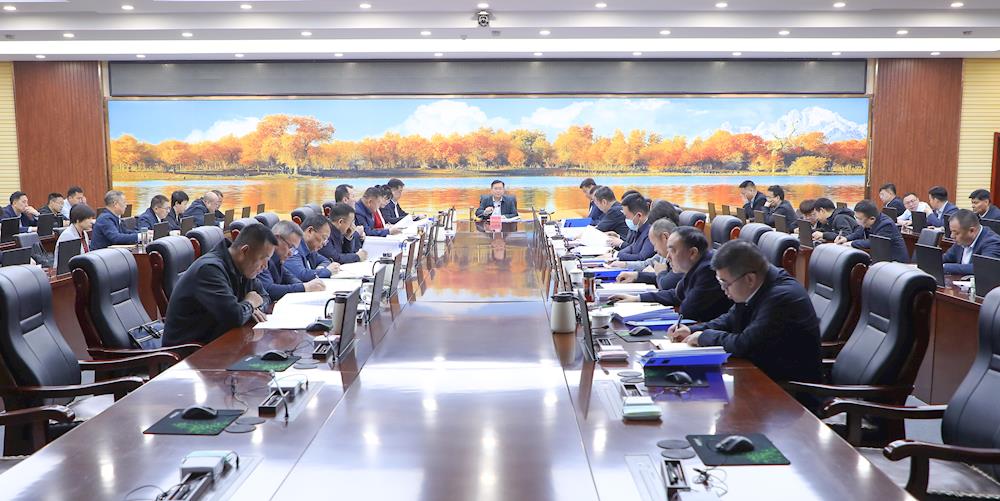 师市党委常委会召开会议