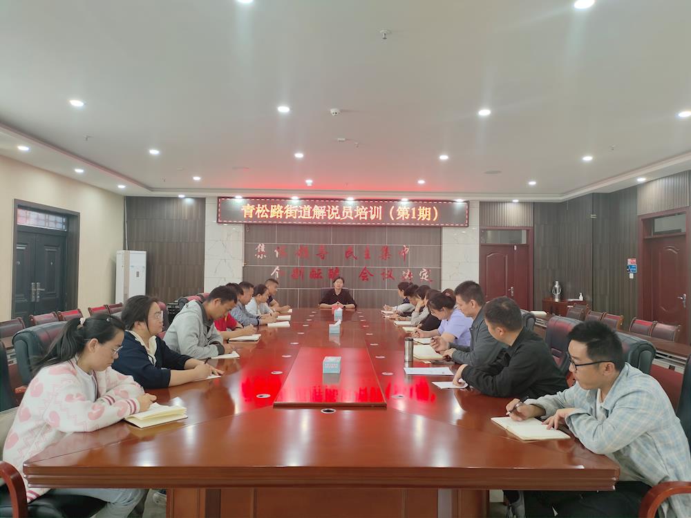 培训促发展 学习强技能 | 青松路街道办事处开展解说员培训