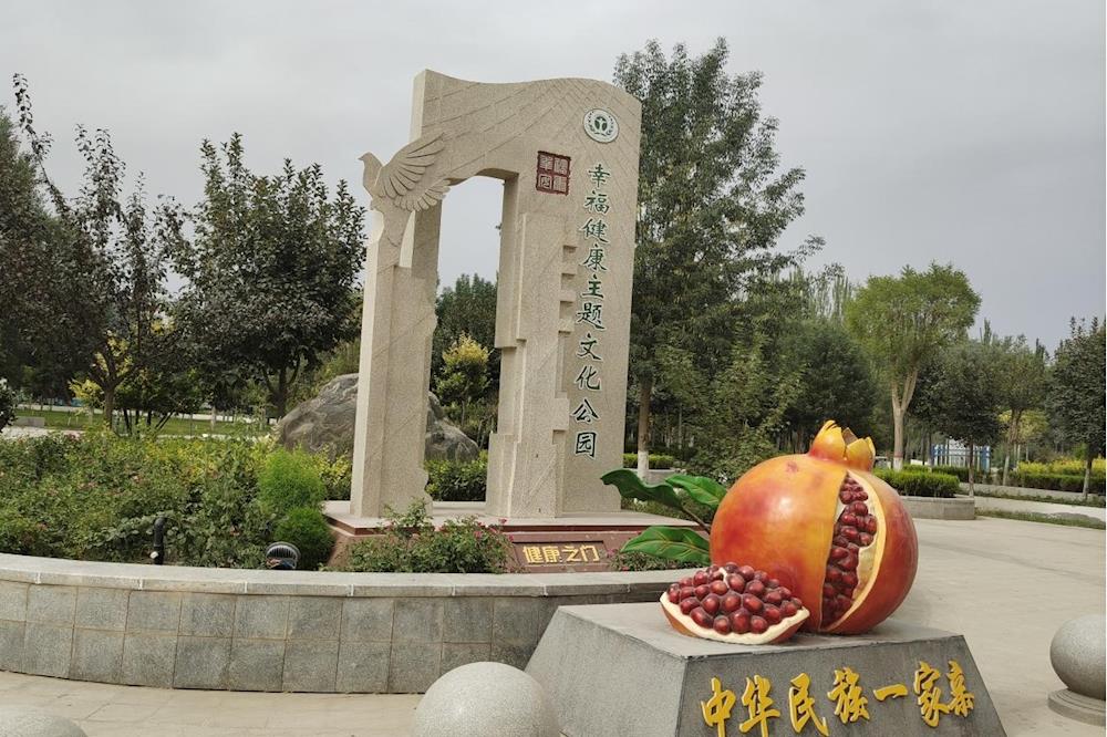 师市卫健委、新苑社区等党支部在健康主题公园开展全民健身运动主题党日活动