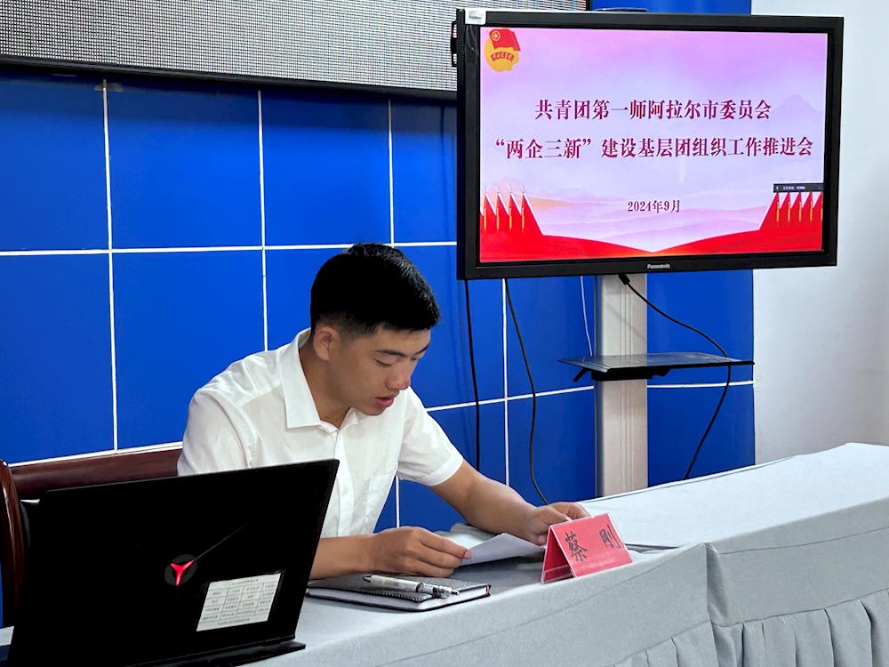 师市团委召开“两企三新”建设基层团组织工作推进会